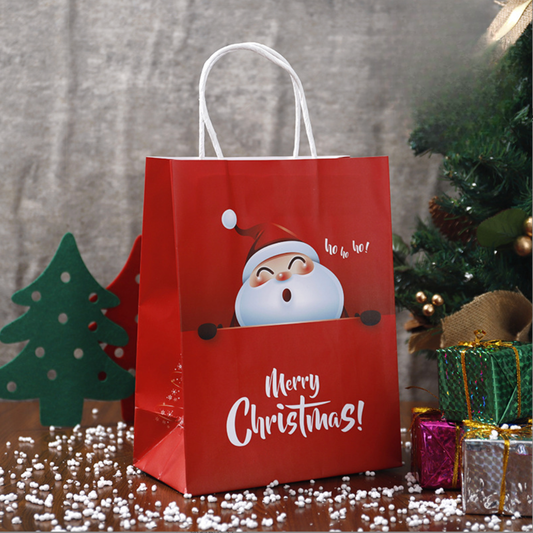 Christmas Themed Gift Bag